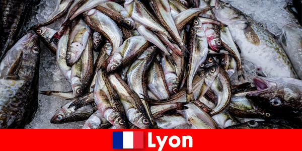 Peixe fresco e frutos do mar preparados com perfeição para desfrutar em Lyon